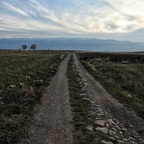 حمیرا و شایع دلم میخواد که امشب امشب